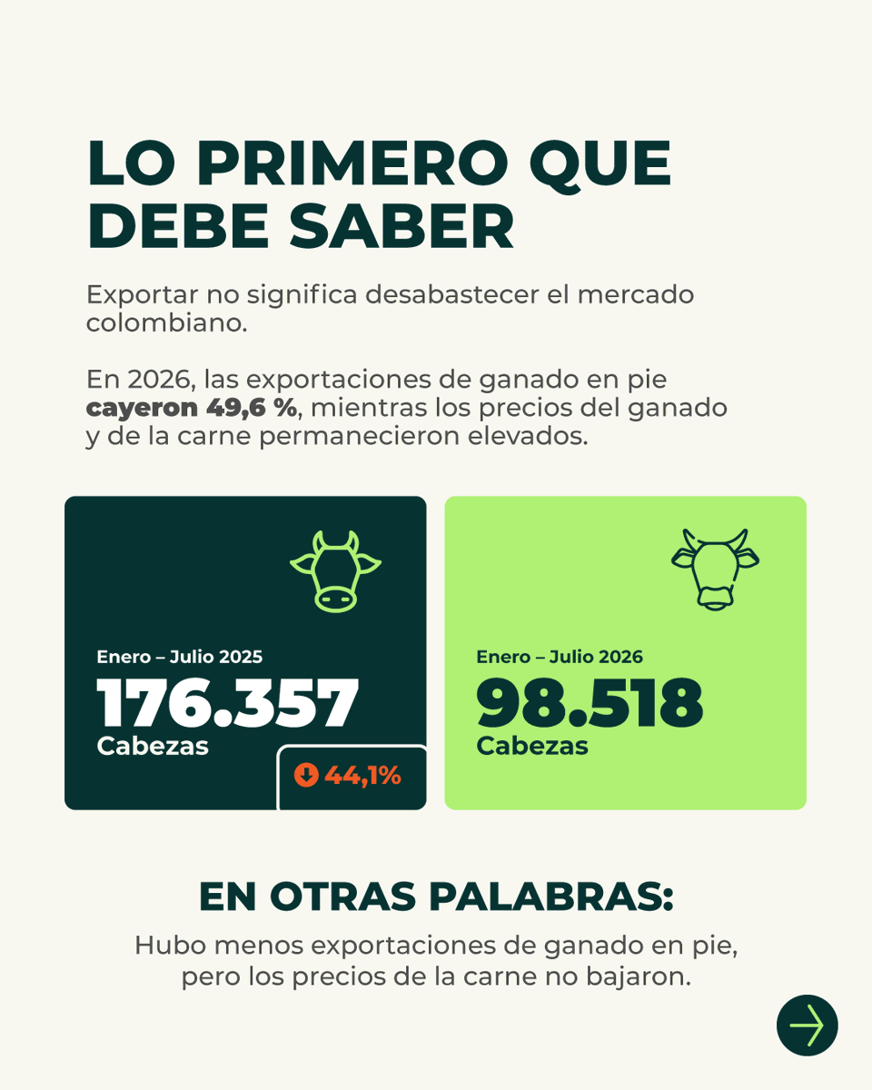 Fedegan's tweet photo. ✅SI O NO ❌

📈🥩 ¿El alza del precio de la carne de res se debe a las exportaciones? 

Le vamos a mostrar las cifras más recientes de exportaciones de carne y animales y explicamos qué factores realmente inciden en el precio de la carne en Colombia.

Abrimos hilo 🧵👇
#Fedegan @jflafaurie @OscarCubillosP