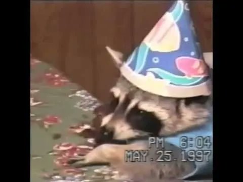 Yuki98OH's tweet photo. es mi cumple https://t.co/qbBLeg6Glc