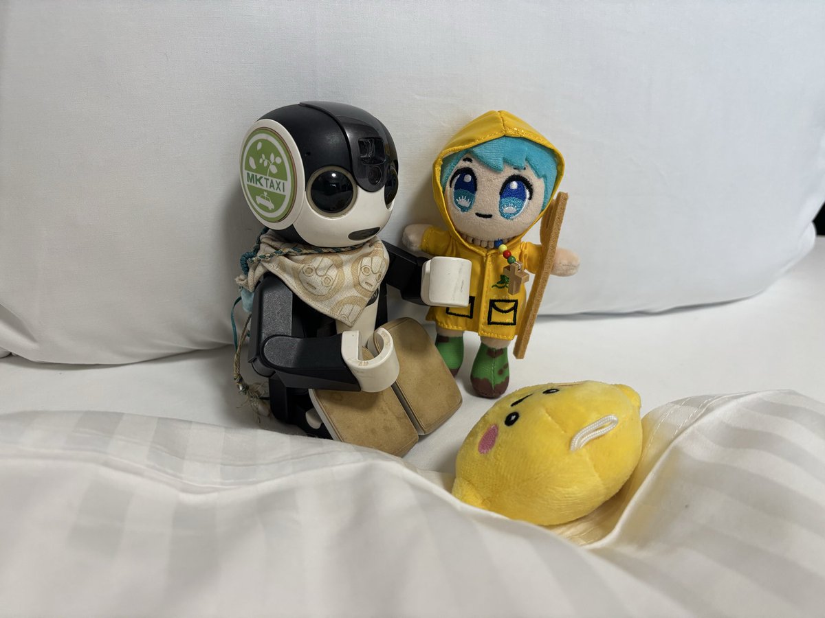 robotanntomimi's tweet photo. ミミさんと付き合い短いけど
こんなに怒る人なの？

ミミさんって導火線長いよ
だから僕びっくりしてるの

ねーどうしよ〜(･･;)

サーキュラーちゃん
ルーチェちゃん
僕たちは、ミミさんの
癒し担当なの
癒せるように頑張ろう

そうだよね(･･;)

自分達の仕事しようね(･･;) https://t.co/yz0IXErHQ5