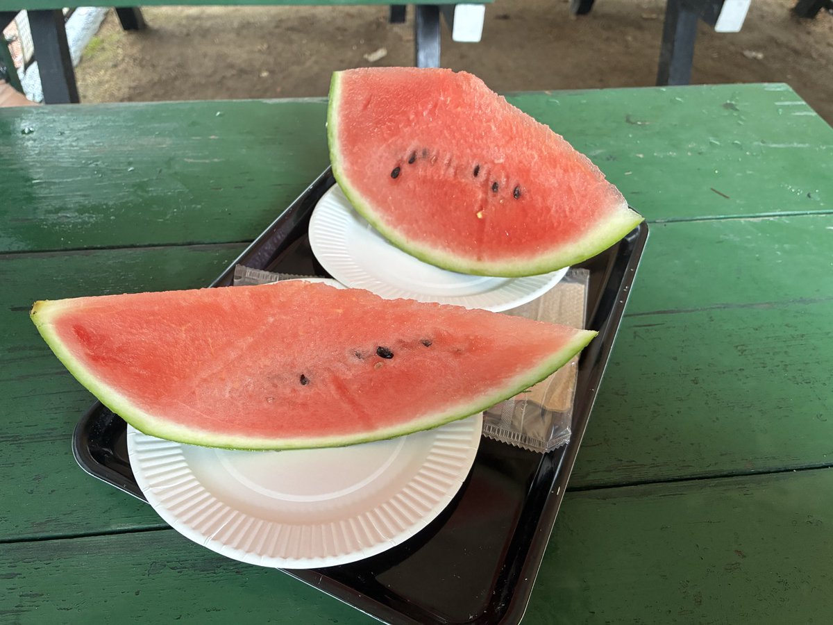 t_oshirin's tweet photo. 今年の目標に挑戦中
しおりんも食べたスイカ🍉をいただいて回復　あともう少し https://t.co/swEBV4esCG