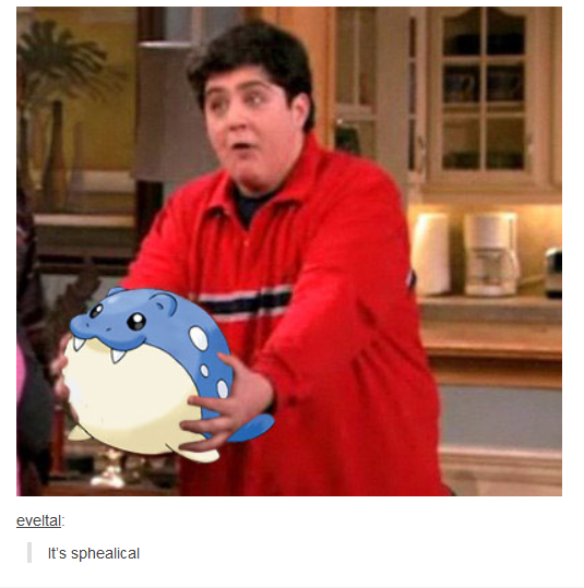 KittenFox_55's tweet photo. @Pokemon https://t.co/Pk9PWBU7WN