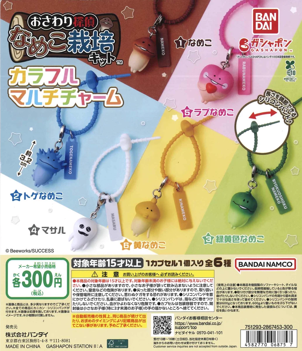 C-plaエイスクエア店 【公式】 on X: 