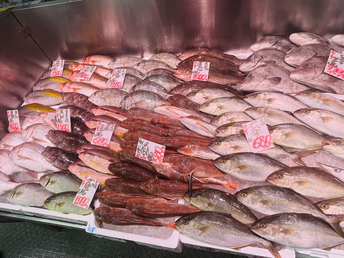 ebisumaru19's tweet photo. さかなかるた可愛すぎます！見てたら魚見たくなって市場に来ました！🙋‍♀️🐟 https://t.co/Xqq0eh3w1R