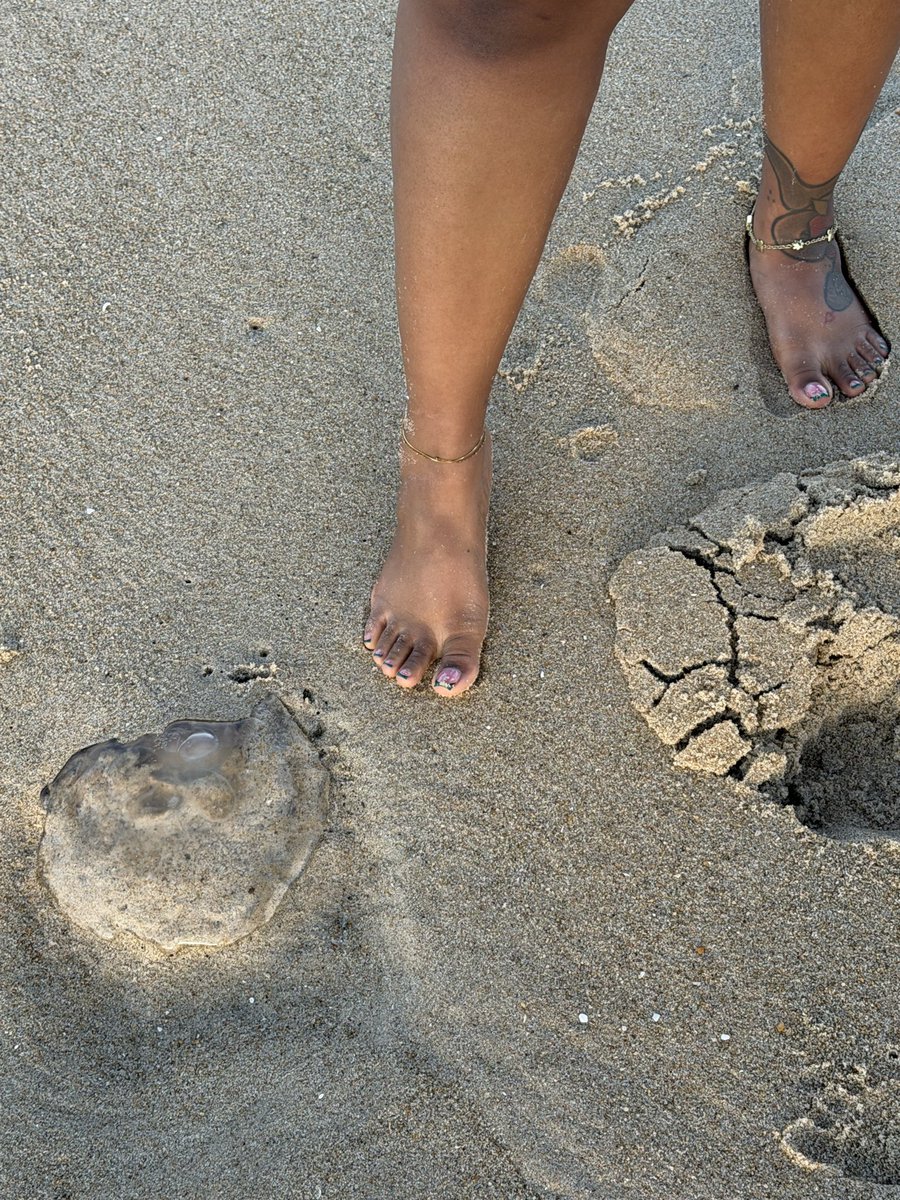 archedbycaramel's tweet photo. life’s a beach, I’m just playing in the sand 🏝️☀️👣 #beachpics 
#feetfetısh #feetworshi̇p #prettyfeet https://t.co/GK4tWSbUv6