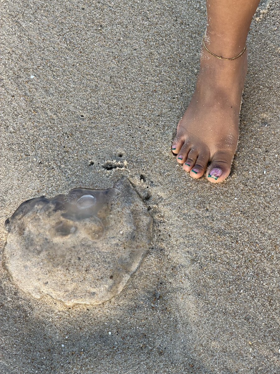archedbycaramel's tweet photo. life’s a beach, I’m just playing in the sand 🏝️☀️👣 #beachpics 
#feetfetısh #feetworshi̇p #prettyfeet https://t.co/GK4tWSbUv6