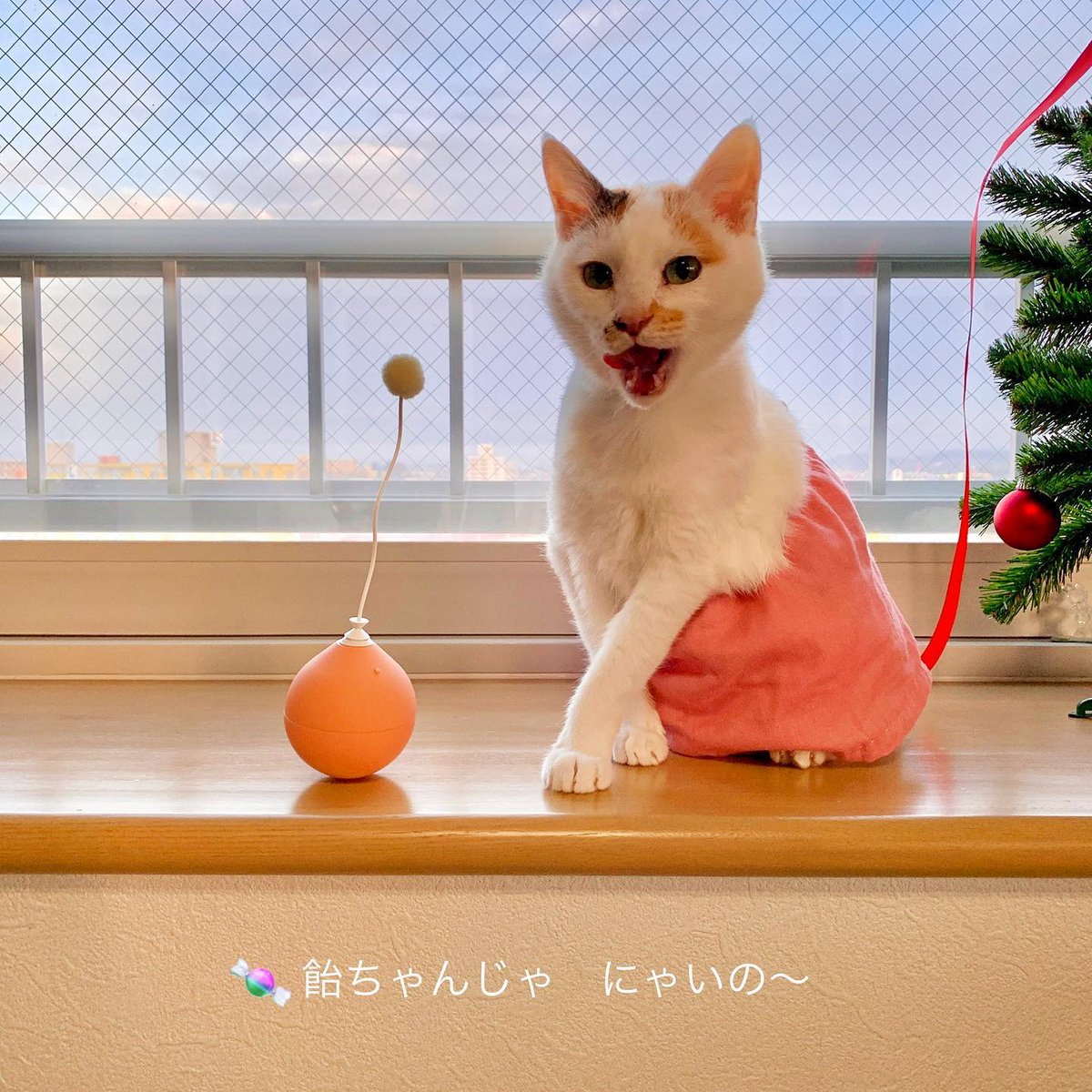 EdisonSpinp0qk's tweet photo. 思考の欠片が重なり合って、輪郭をぼやかしていく。意味を見出すよりも、ただ漂っている方が今の自分には合って���るのかもしれない https://t.co/eTLrbnzBQ6