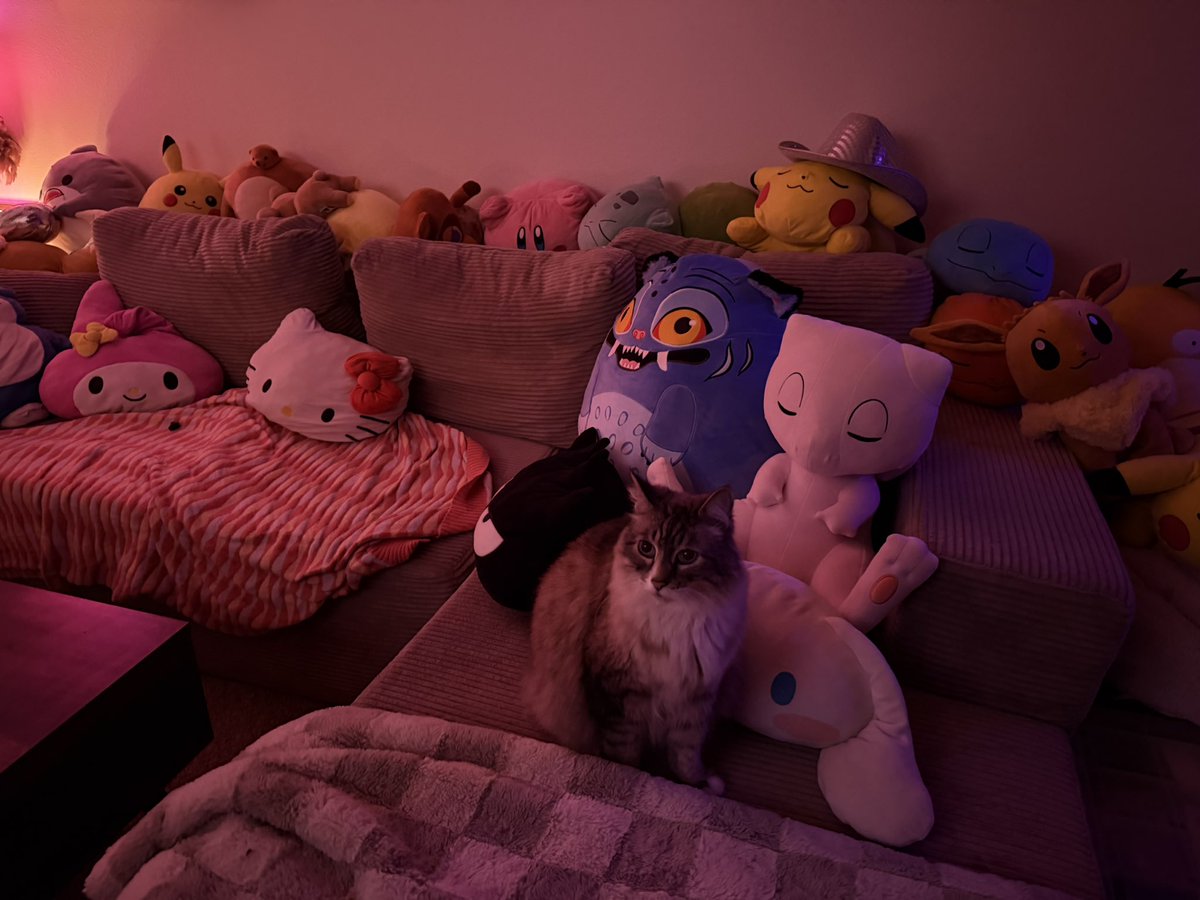 secretlypuar's tweet photo. sometimes i forget this is what life is all about https://t.co/D2xm66CnSP
