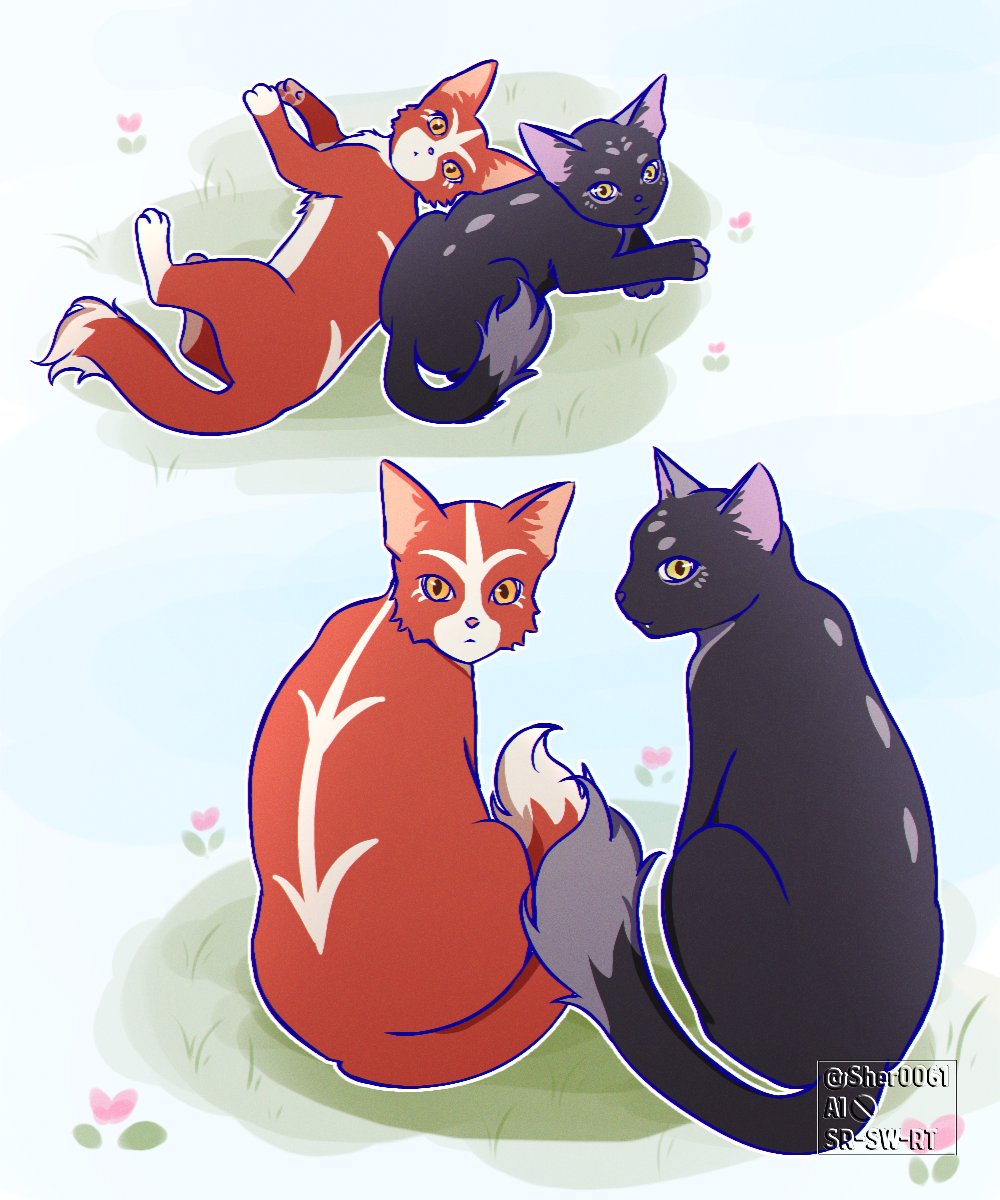 Sher0061's tweet photo. Hane and Tsuno, cat-sith version. Without wings and horns, but still the main characters aura🐱

(I'm using my cats as the poses) https://t.co/p14oX3VnwS