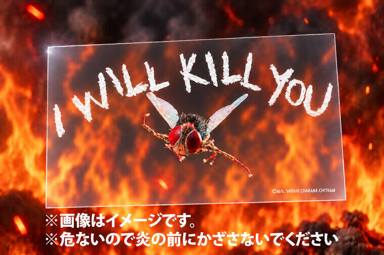 kineca_omori's tweet photo. ╋━━━━
             『#マッキー』
  入場者プレゼント配布決定！
                                   ━━━━╋
　　　　　　　　
配布物：I WILL KILL YOU クリアカード🐜

配布期間：9/18㊎～無くなり次第終了  
ご入場時に先着・数量限定で配布いたします   

📌詳細はこちら
https://t.co/7Xk5g2r7wh