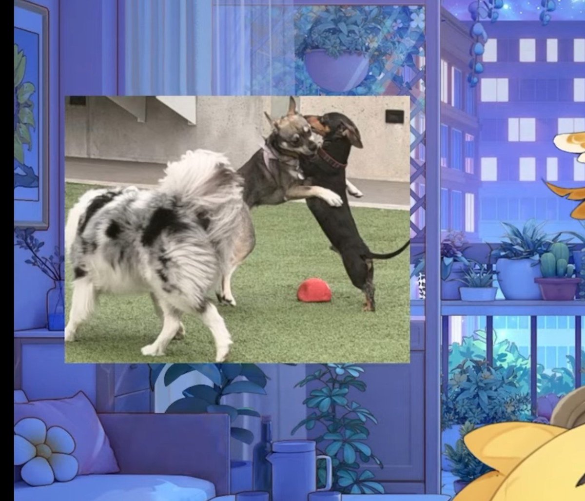 DokisFish's tweet photo. THEY JUMPED DAD'S ASS FOR FLAUNTING AND HOARDING THE TOY LMAOOO https://t.co/7ZBvrZqhxj