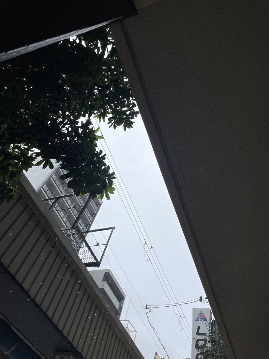 ovalmultimedia's tweet photo. こんにちはオーバルです。

雨の日が多いですね。
それでもご来店お待ちしております。

#企業公式が地元の天気を言い合う #ovalmultimedia #日本橋でんでんタウン https://t.co/1uFmTvv6vA