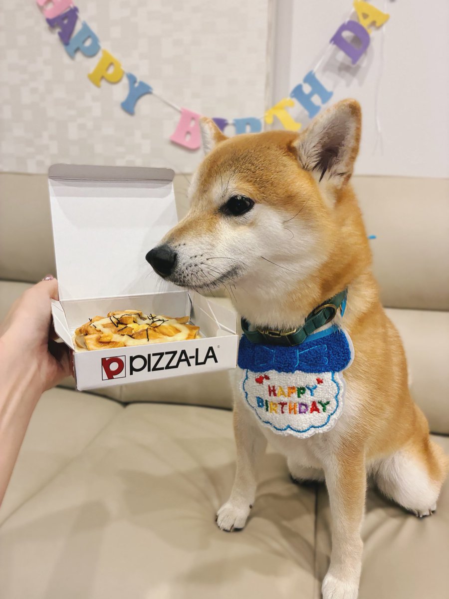 ht_trust_23192's tweet photo. @KAZUx6cv 凄いですよね( ´ࠔ`* )
ケーキの種類も豊富です- ̗̀ 🎂 ̖́-

ちなみにワンコ用のピザなんかもあります🍕🐶 https://t.co/5ke837izw7