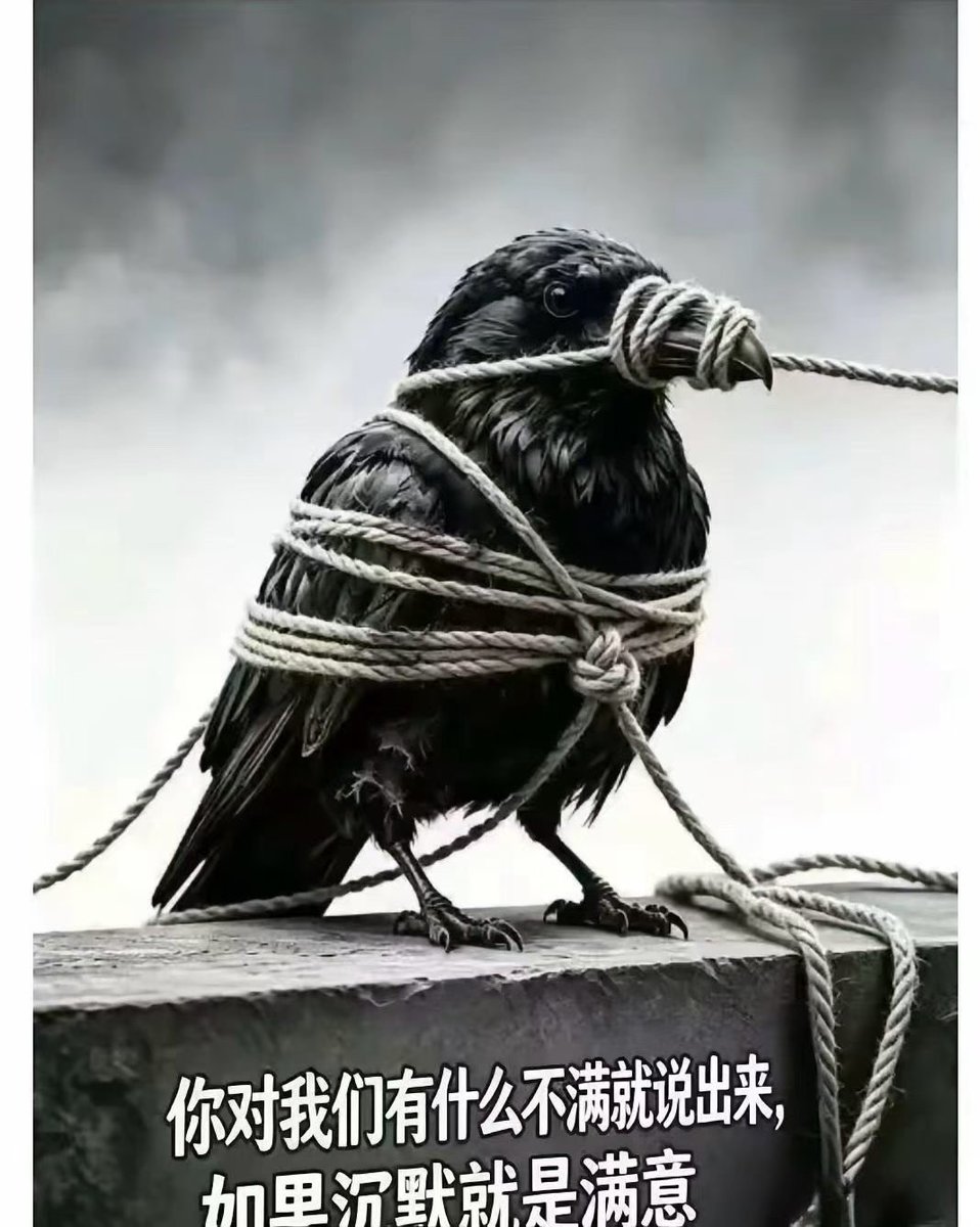 jysx877's tweet photo. https://t.co/mQm47VY77l