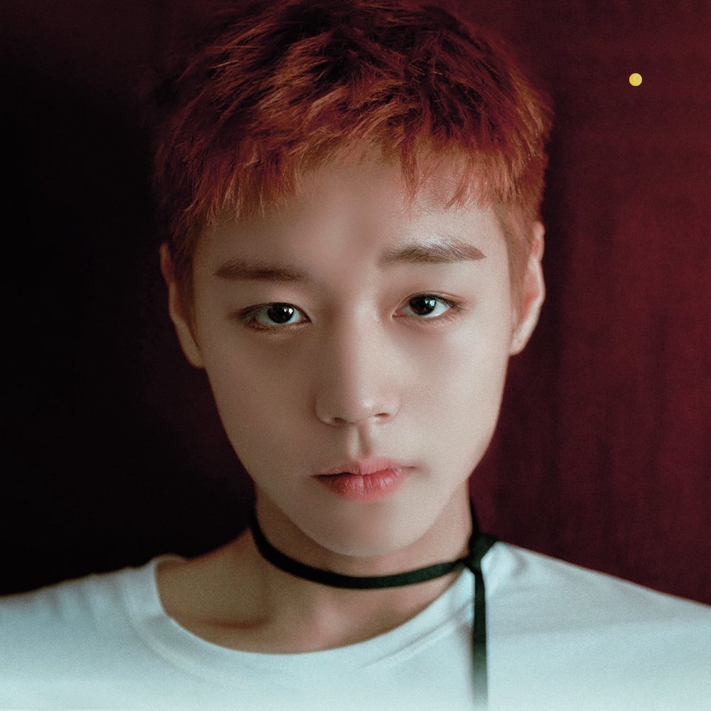 DAL529's tweet photo. I Need A Girl #박지훈
https://t.co/nyKJrqLxID https://t.co/leaVUCMphm