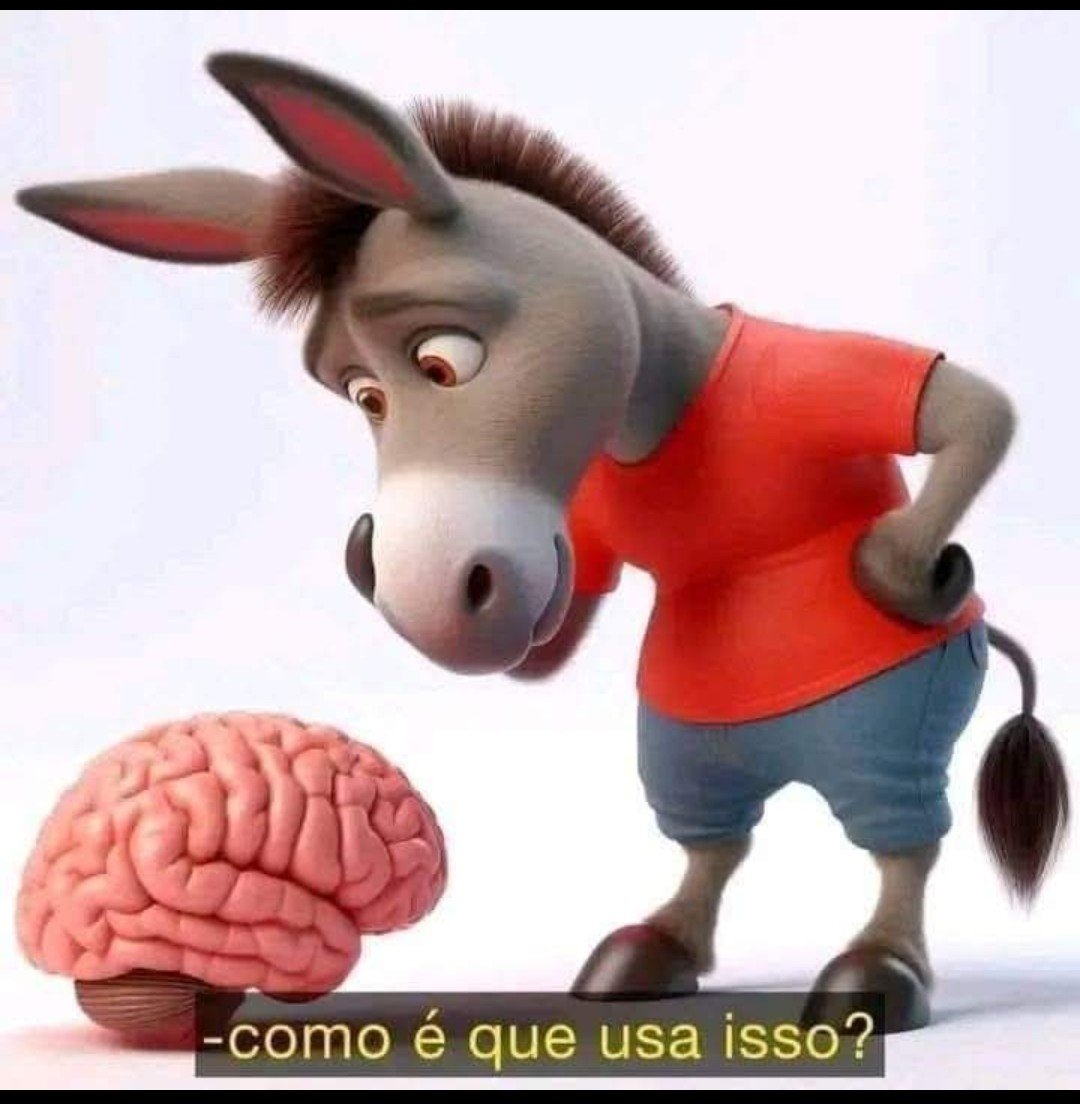 rokko2rj's tweet photo. @tiagobarbosa_ Pois é, temos idiotas para isso! https://t.co/N3ZAKNN44e