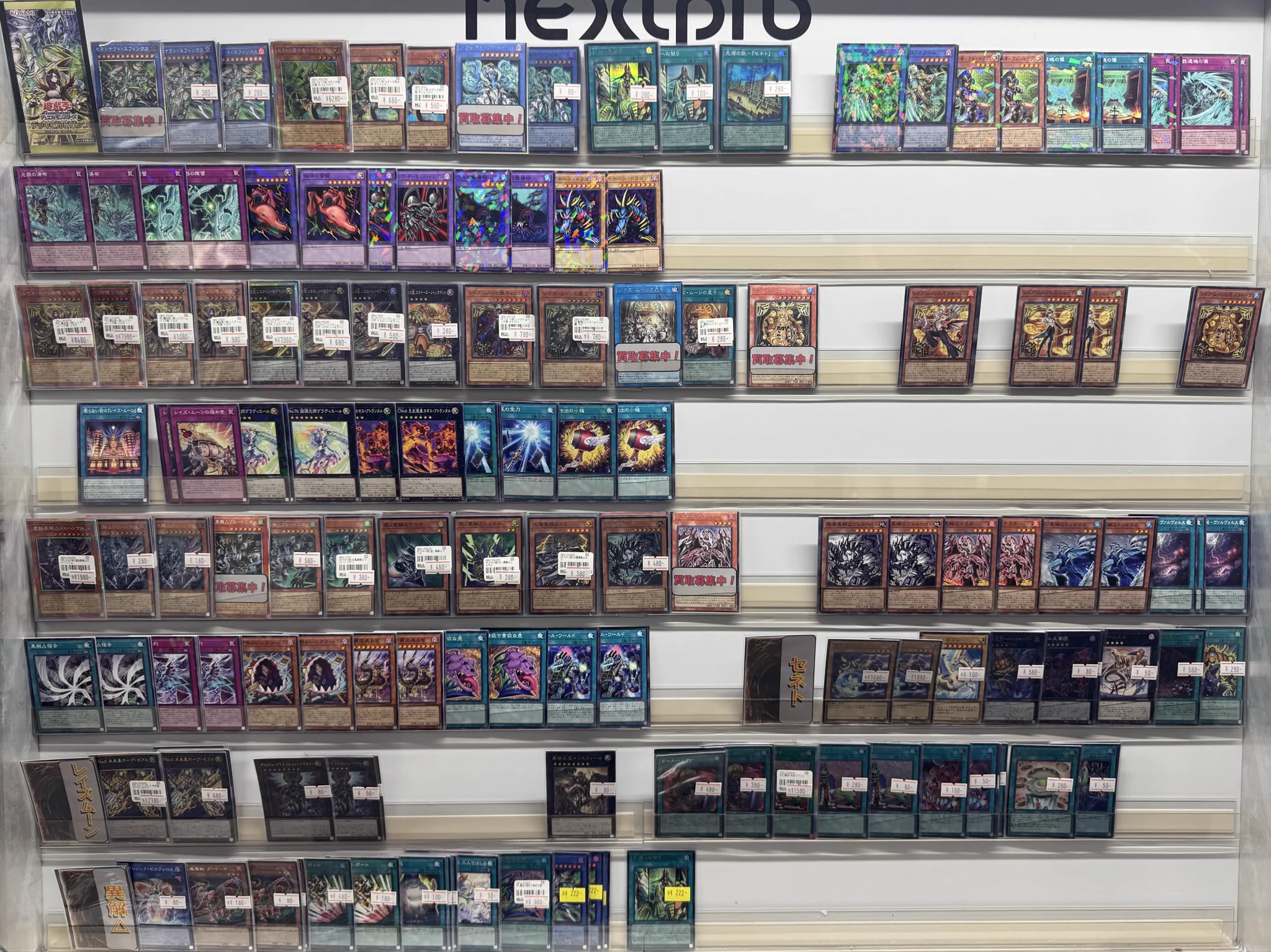 ✨ネクストプロ大須2号店✨ on X: 