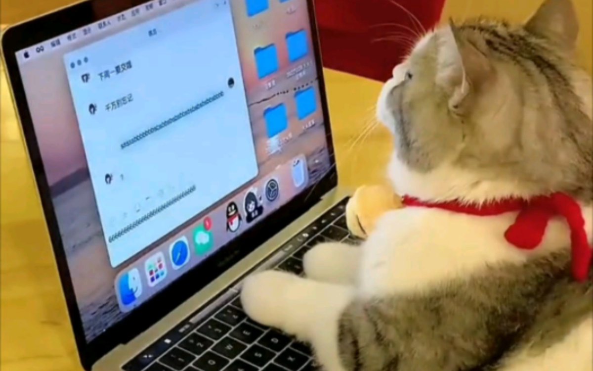 squit118804's tweet photo. My 9am team meeting just got interrupted by my dorm cat who jumped on the keyboard and sent "meow meow meow" to our whole project group. Now we have a new official meeting attendance emoji https://t.co/47kePUYKJV