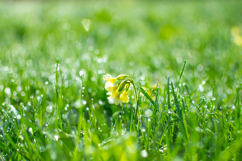 bugcm600817's tweet photo. Life’s not about waiting for the storm to pass, it’s learning to dance in the rain — every small step forward counts as growth. https://t.co/HTKedMk6N9