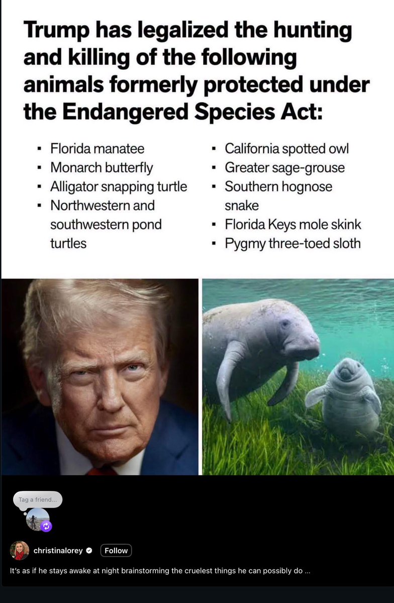 TruthSeekerette's tweet photo. @Interior @USFWS What tracking the hives to destroy them? Well it is a fair question these days…. https://t.co/Av8eyNMKJ8