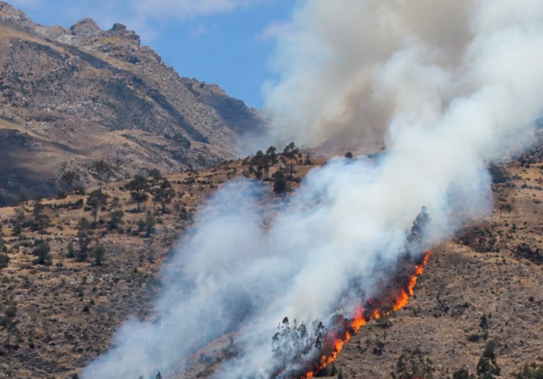 COENPeru's tweet photo. El #IncendioForestal que se desarrolla desde el 14/9 en el sector Huarcoy, distrito y provincia de #Cotabambas (Apurímac), se reactivó esta tarde luego de haber sido controlado por personal edil. La #EDAN por parte del municipio arroja, hasta el momento, 20 ha de cobertura natural destruida y 2 viviendas inhabitables.