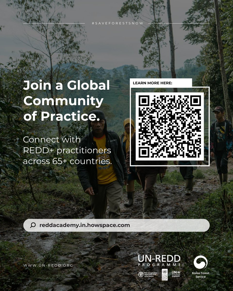 unredd's tweet photo. 🌍 Join a global community of practice for #REDD+

🌳 Build connections.
💡 Share knowledge.
🤝 Learn from practitioners around the world.

👉 Join the REDD+ Academy now: https://t.co/pgMZ5i3LL6

Scan the QR code or visit the link to get started.

#InvestInForests https://t.co/yh82ljqoHO