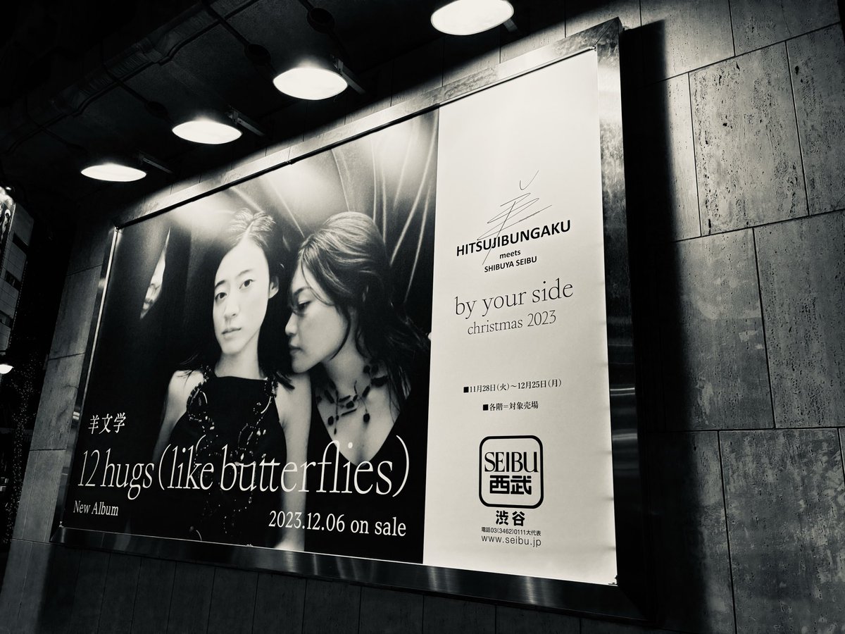 haruomiii17's tweet photo. 音楽は羊文学を良く聴いてます♪
あいまいでいいよ、光るとき、あの街に風吹けば、なつのせいです、1999、GO!!!がスキです😚 https://t.co/3XtSkcmdka