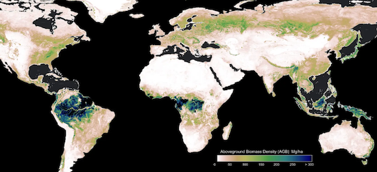 humdata's tweet photo. ⭐ Welcome to HDX, CTrees!

@CTrees_org now shares biomass data for over 20 countries on HDX. Using satellite imagery and AI, the data maps carbon stored in trees and vegetation and can be used to track deforestation and measure forest recovery.

Explore: https://t.co/ZyimDsgKIj https://t.co/yKbWTrxhmF