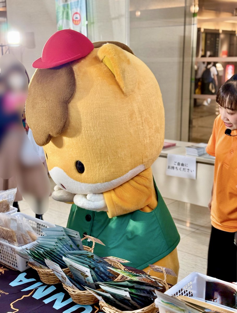ratti0705's tweet photo. 今日はぐんま直送便in都道府県会館へ！
ほぼオープンと同時着でしたが、1番お目当ての登利平弁当がすでに売り切れ😂
ぐんまちゃんもがっかりしてました笑
また東京でぐんまちゃんに会えて嬉しかったー✨
4枚目はリクエストされてたかっこいいポーズ😎

#ぐんまちゃん https://t.co/AjnFTQSQcI