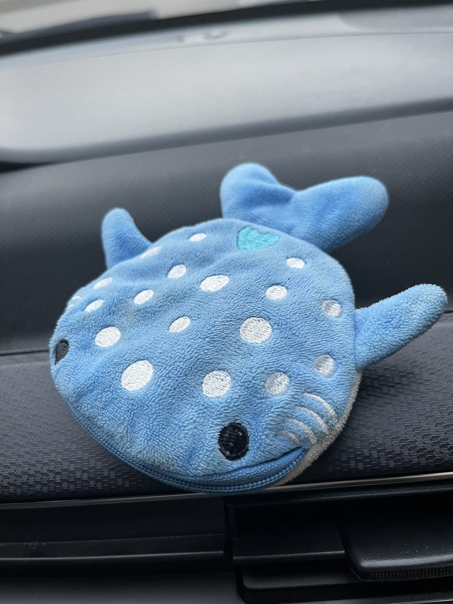 L4rc___'s tweet photo. 俺の車の鍵入れてるやつ可愛すぎ🦈
がう。だね https://t.co/7QwyGKHZh5