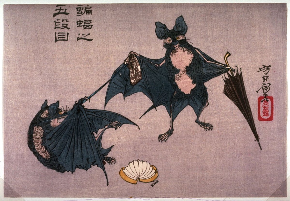 ArtorOtherThing's tweet photo. Bats with Umbrella and Fan, Tsukioka Yoshitoshi, c.1880s.

Bats look sinister to Western eyes, but in Japan they've always meant the opposite. The word for bat, komori, shares a character that can also be read fuku, meaning good fortune, the exact character in the lucky god Fukurokuju's name. So these two bats squabbling over an umbrella and fan aren't omens. They're a joke about luck getting into a scuffle over borrowed props.