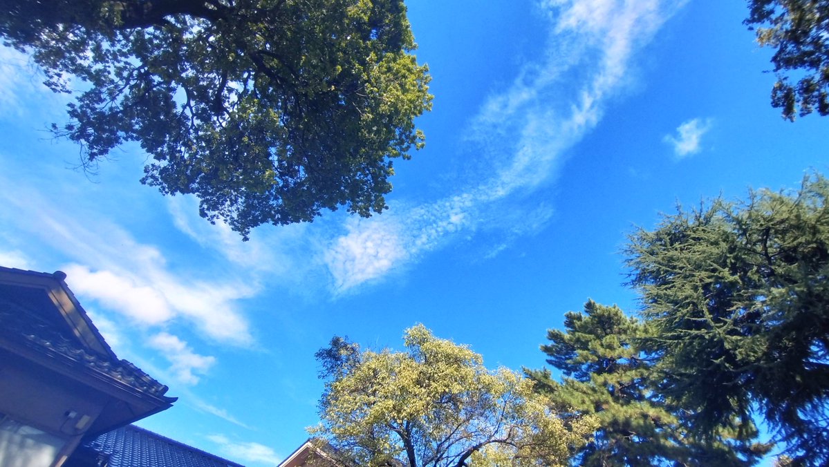 ajisai0622's tweet photo. すっきり晴れて風が強かった月曜日の午後、例大祭が終わった神社で秋祭りの片づけに。

久しぶりに見た青空と神社の境内を何枚か記録に残してみた。 https://t.co/8SF0bKMHpM