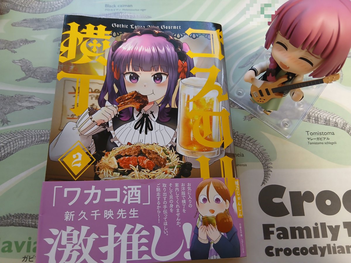 KdjTd99571's tweet photo. 城乃じゅんしん先生@junshin_shirono の単行本「ゴスロリ横丁」2巻を購入しました！
地方なので遅くなりましたが、無事に入手できてよかったです…

内容も1巻と同様にとても面白かったですね。(特に新たなに登場した緑川さんと、海賊衣装の夢菜さんがお気に入りです。)

3巻も楽しみですね https://t.co/uYsdfZaEtz