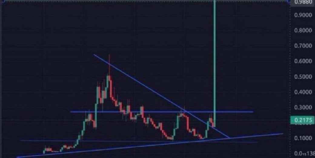 Zyrox0x's tweet photo. What memecoin will do this soon? https://t.co/8IpM835R2u