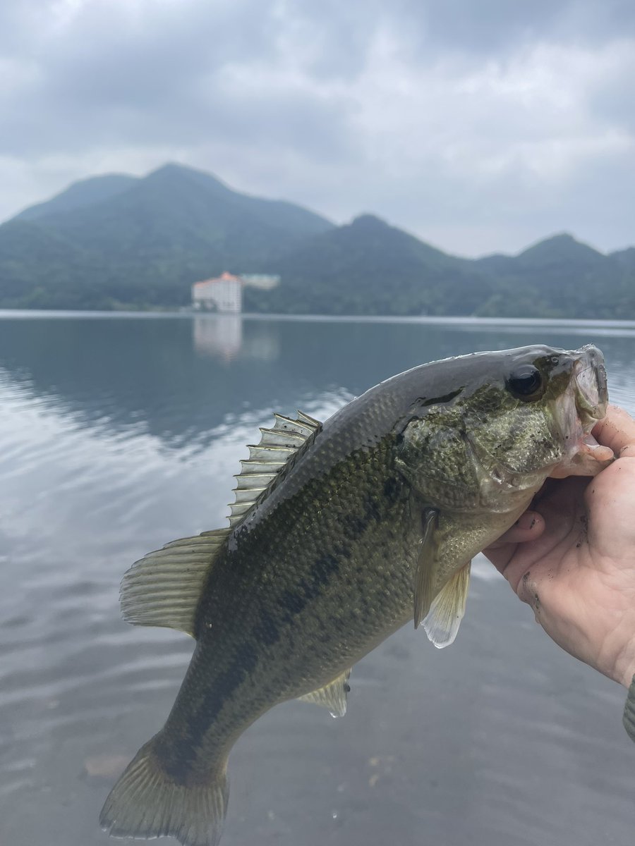 CAT_330EO's tweet photo. 僕がバス釣りに求めているのは癒しです。
自分の内なる世界に没頭する。
ただひたすら真剣に夢中に一心不乱に。 https://t.co/eQNJQnZpW3