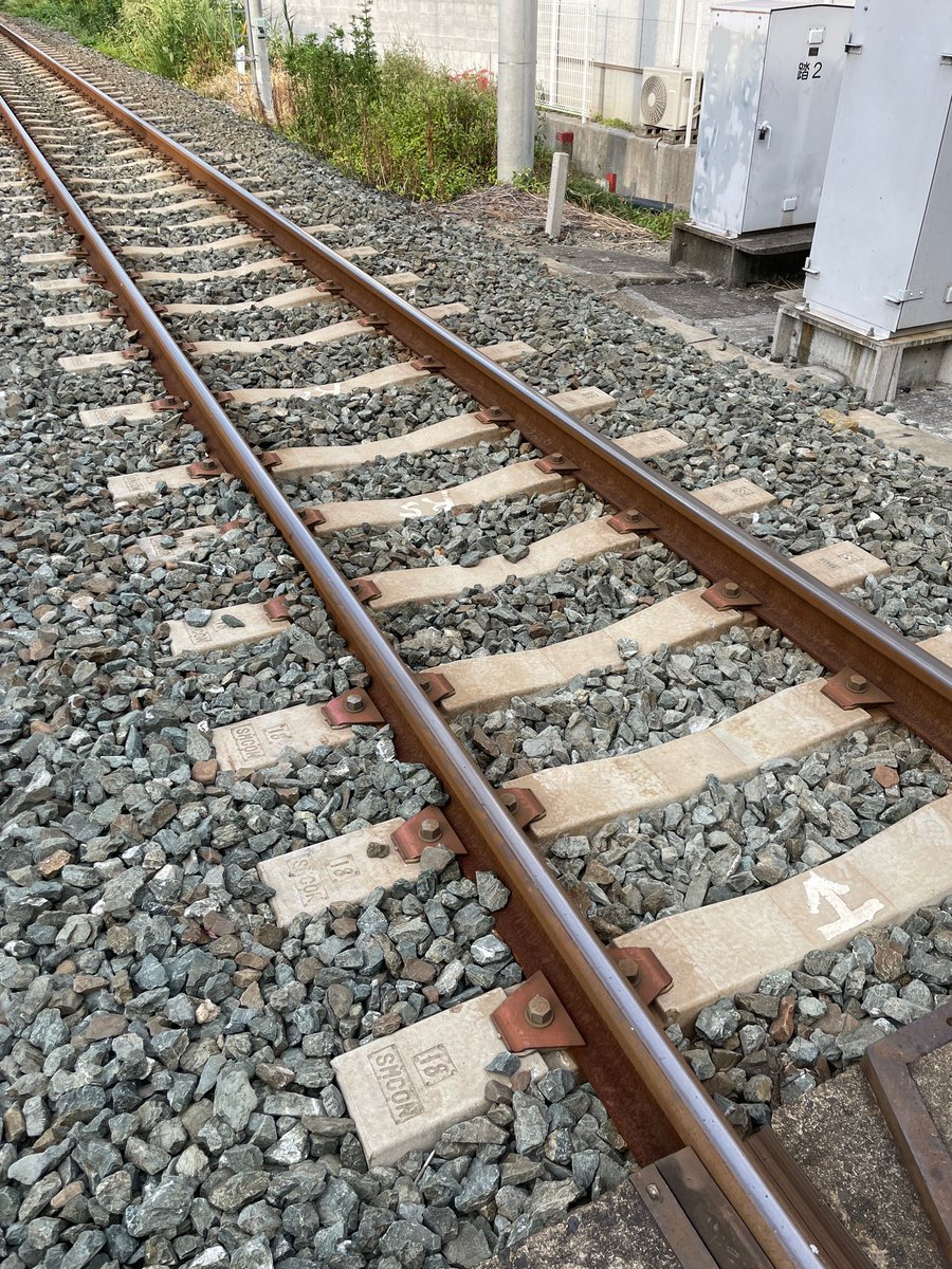 Btoretsukuru's tweet photo. ←近所の予讃線
→それ参考に作ったNゲージのモケー
#鉄道模型 #Nゲージ #ジオラマ https://t.co/tmEXmC4y8i
