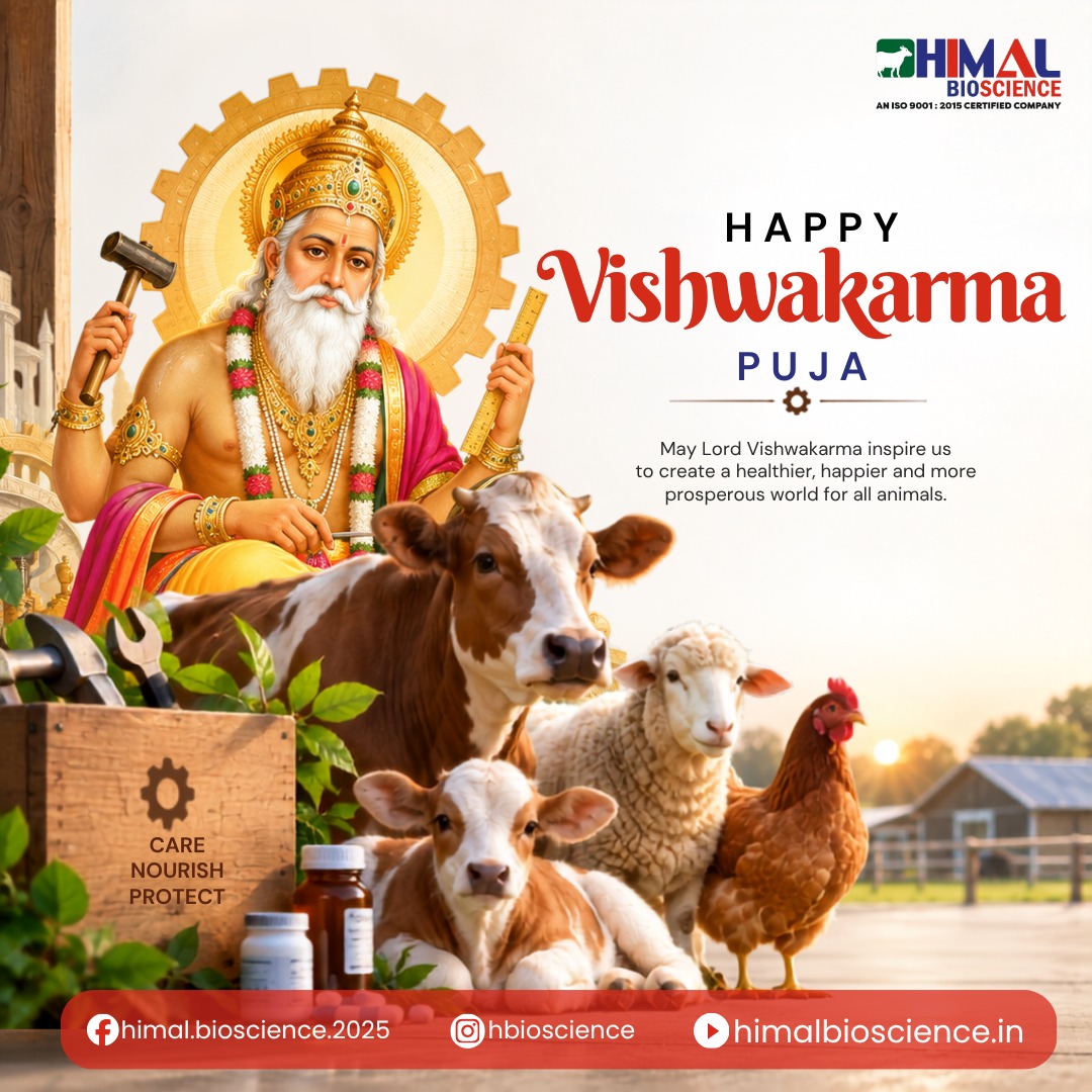 Himalbioscience's tweet photo. Mehnat ke har haath ko mile safalta, aur har pashu ko mile behtar care. 

Visit Now: https://t.co/J0PwN5rRO3
Call: +91 - 96439 67303, 9891817591

#himalbioscience #vishwakarmapuja #vishwakarmapuja2026 #pashuswasthya #dairyfarming #farmerlife #trending #explore https://t.co/4gXD061WiC