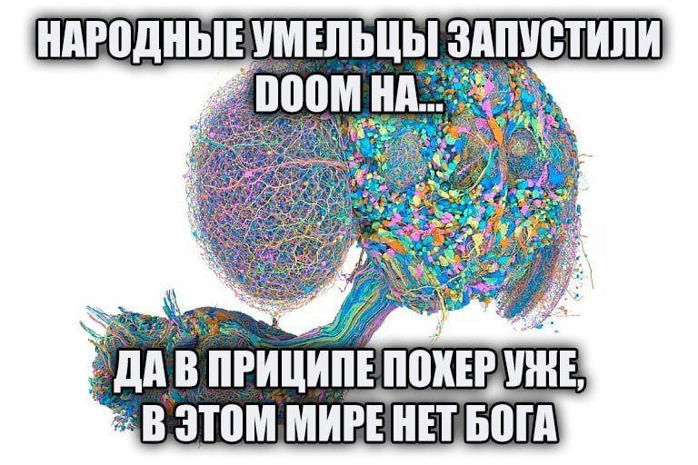 shkotobaza's tweet photo. https://t.co/wag4bbY7fE