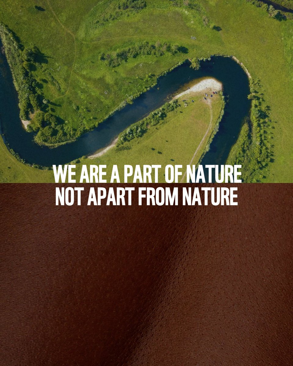 WWF's tweet photo. Look closer. Nature isn't just out there. It's in here too. https://t.co/IdIPOVQwcG