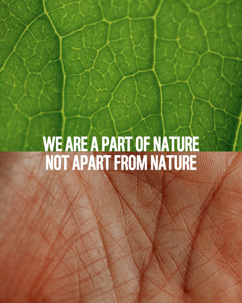 WWF's tweet photo. Look closer. Nature isn't just out there. It's in here too. https://t.co/IdIPOVQwcG