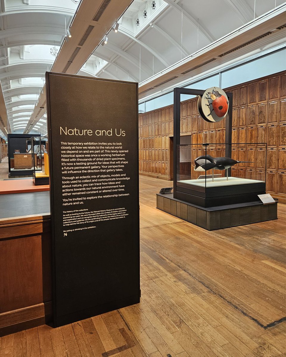 NHM_London's tweet photo. Our new temporary exhibition, Nature and Us, is open! 🌿 

Housed in a gallery closed to the public for over 80 years, this exhibition explores our changing relationship with nature. There's over 50 specimens to discover – would you like to learn more about them? 👇 https://t.co/HNHYwyQsjV