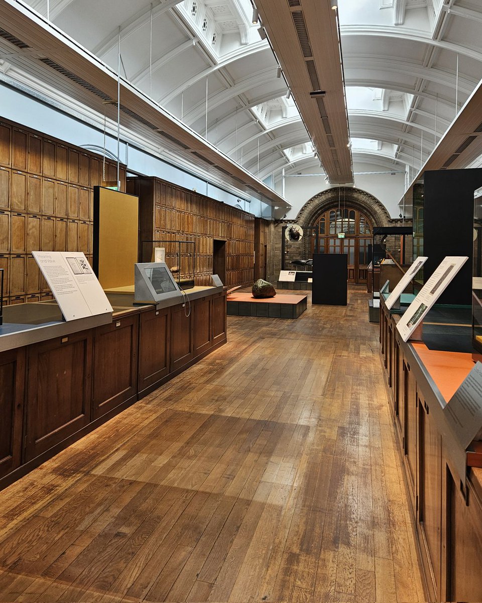 NHM_London's tweet photo. Our new temporary exhibition, Nature and Us, is open! 🌿 

Housed in a gallery closed to the public for over 80 years, this exhibition explores our changing relationship with nature. There's over 50 specimens to discover – would you like to learn more about them? 👇 https://t.co/HNHYwyQsjV