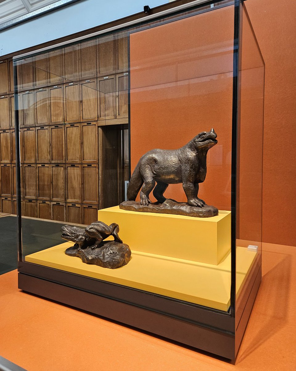 NHM_London's tweet photo. Our new temporary exhibition, Nature and Us, is open! 🌿 

Housed in a gallery closed to the public for over 80 years, this exhibition explores our changing relationship with nature. There's over 50 specimens to discover – would you like to learn more about them? 👇 https://t.co/HNHYwyQsjV