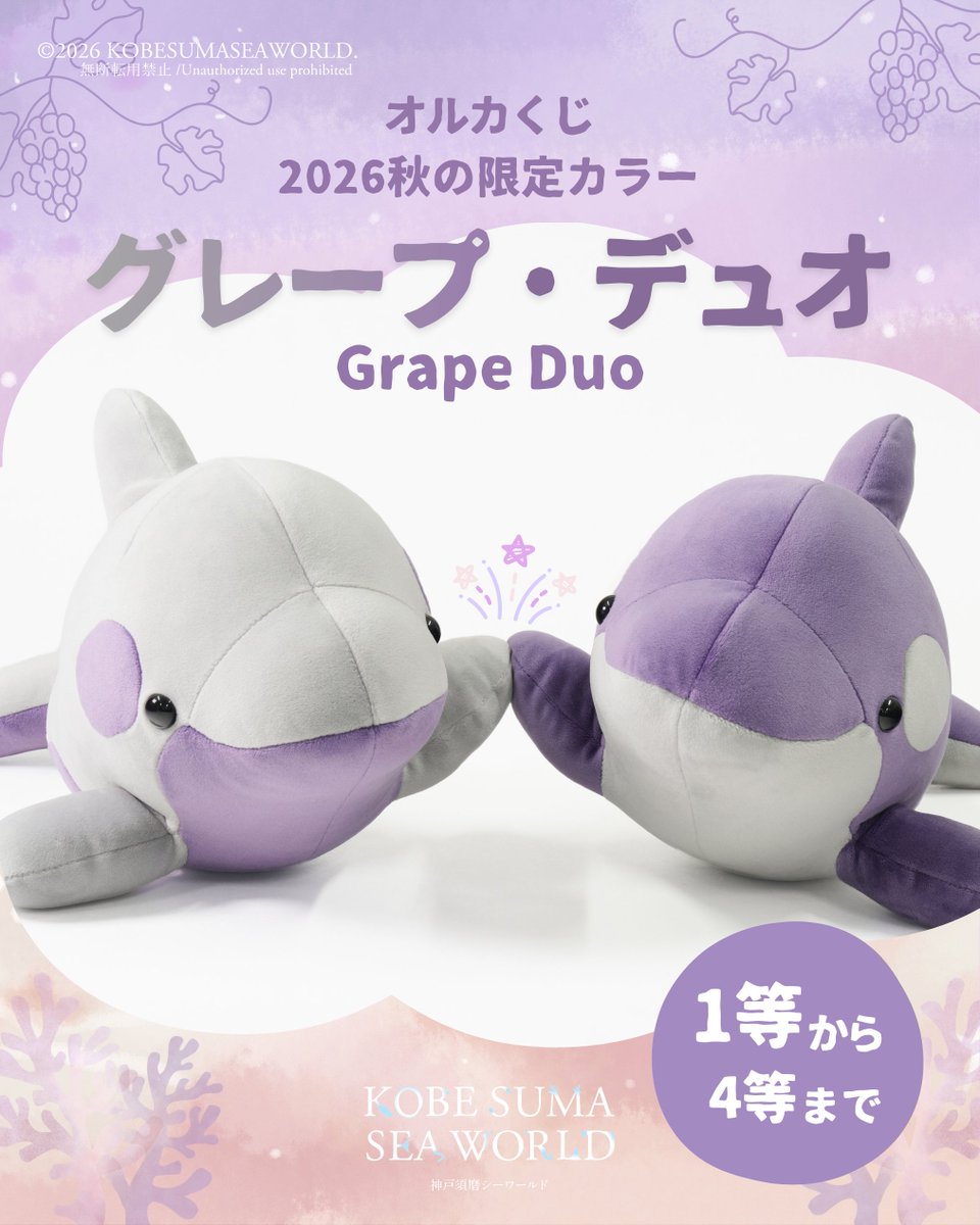Kobe_SumaSea's tweet photo. ／
🍇2026年秋限定🍇
新カラー「グレープ・デュオ」
オルカくじに登場！
＼
10月1日(木)より、 #オルカくじ の1等～4等に新カラー「グレープ」と「グレー」が2色展開で登場いたします。
かわいさ粒ぞろいのオルカくじをぜひGETしてください！

※無くなり次第販売終了です

▼ショップの詳細はこちら
https://t.co/h6pPa8jDQ3