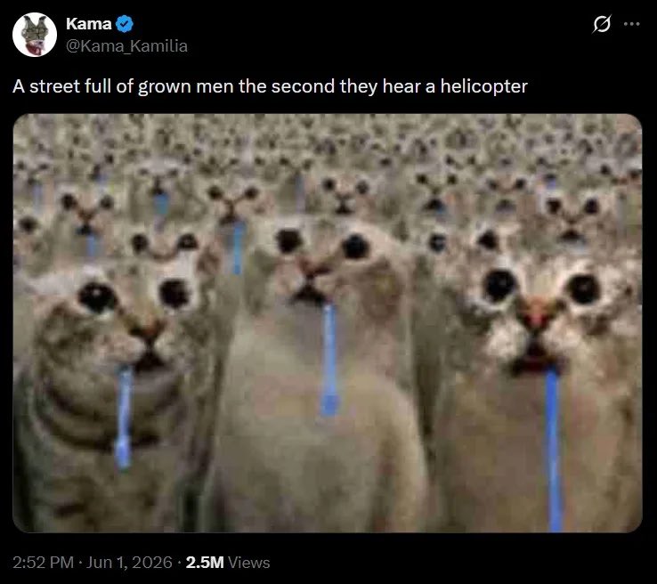 employed_homie's tweet photo. I’ve launched a good narrative „DROOLING cat“ all fees to users. I love this narrative, got a lot of attention. NO bullshit behind this pure Community Driven 

J8cmfRZoYwaNT668GMmdERoBWUbvkFQhKEinzsiSpump https://t.co/CKr6vQ41IF