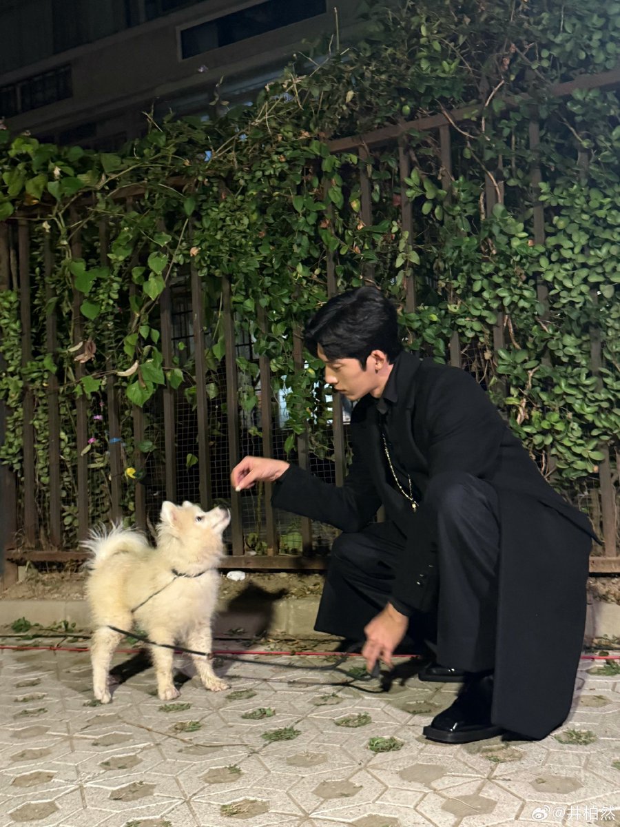 lukeluan_'s tweet photo. jingbao finally posted his goodbye post 🥺

“thank you to everyone who sincerely loved this story, and thank you for seeing luan nian, for seeing #TheEarlySpring.” https://t.co/U1Ul9aKiYx