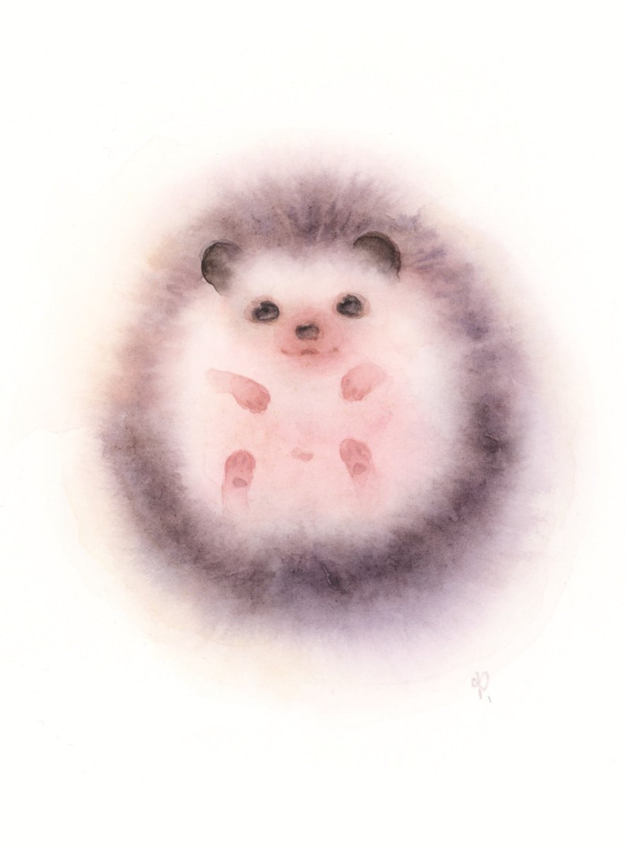 ymtyskmt's tweet photo. チクチクしなさそうなハリネズミを描きました
#透明水彩 https://t.co/wjzkLpL3lm