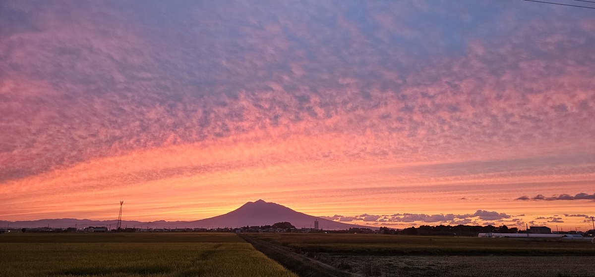 saber_air's tweet photo. いいものが撮れたぞ！ https://t.co/ngwV4A0Uxq
