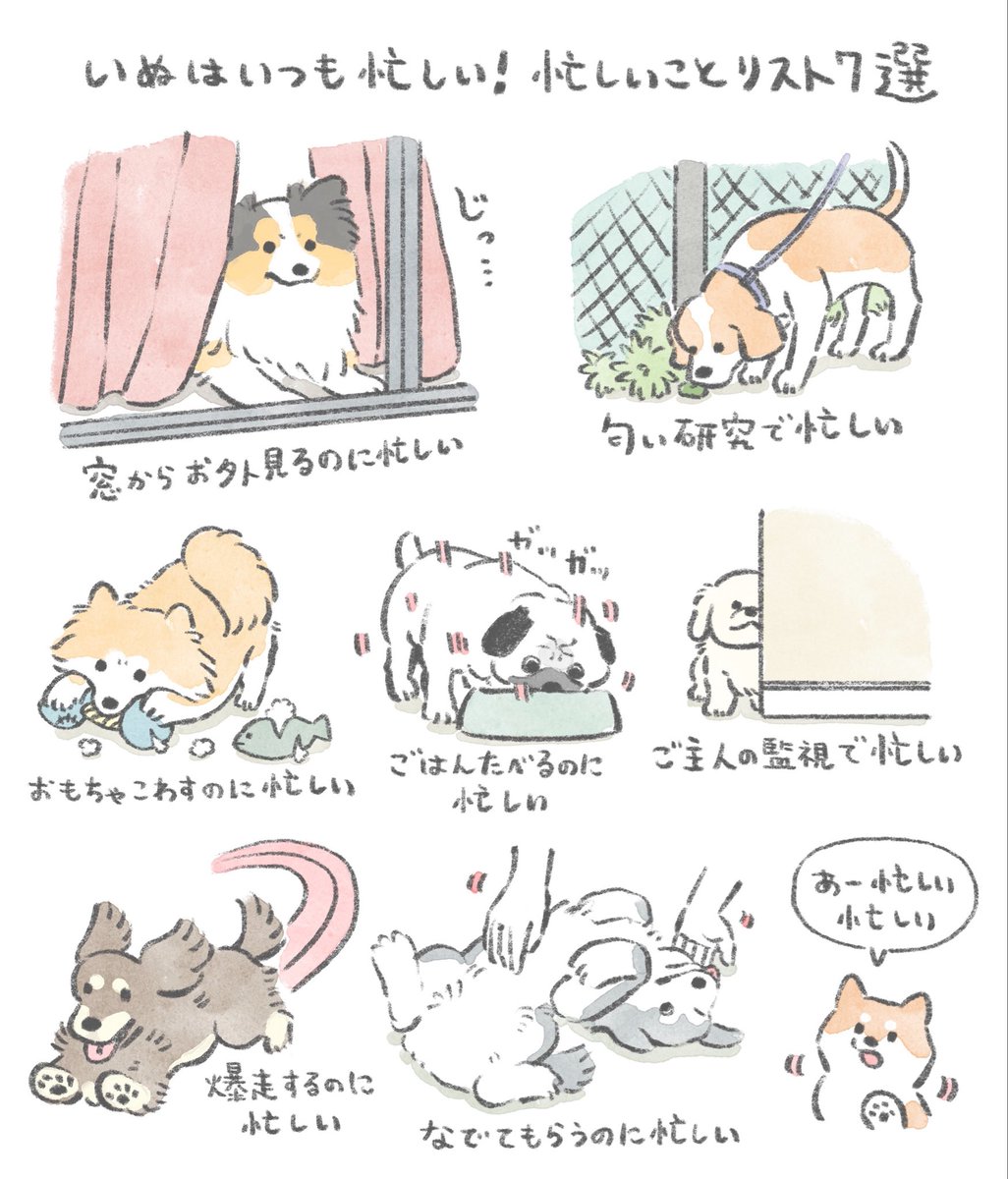kametan_jun's tweet photo. いぬが「あー忙しい忙しい」と常日頃思ってると聞いていぬの忙しいことリストを描きました。
皆さんちのいぬはなにをするのに忙しいですか？ https://t.co/t6iUUuLNO8