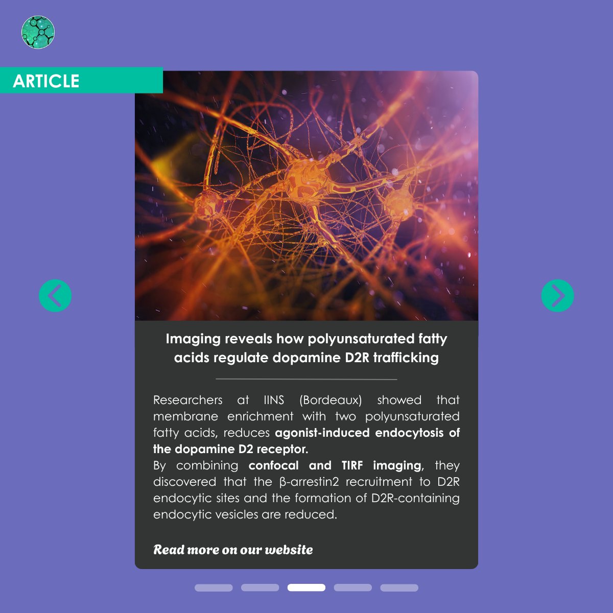 Fr_BioImaging's tweet photo. 📢 The France-BioImaging September newsletter is out!

Updates from our nodes, recent events, training opportunities, job offers... everything you need to know about France-BioImaging is inside.

How to read it? Click here ⤵️
https://t.co/SSHujIG1zP https://t.co/W0w2XOy0Ub