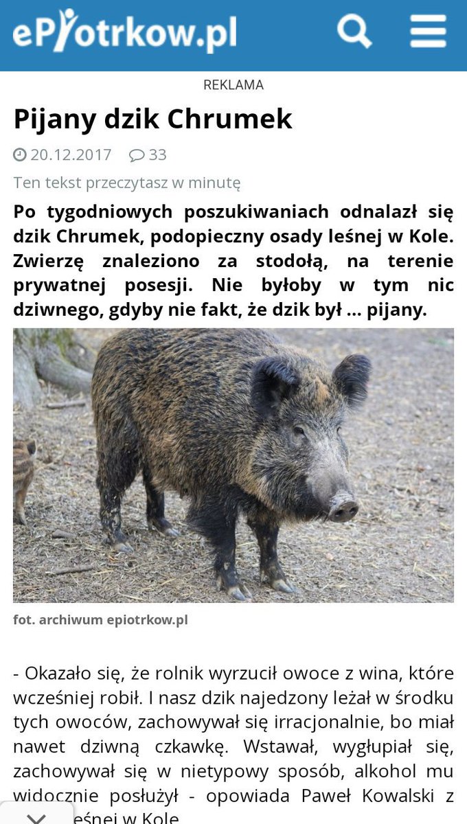 Jankloc5's tweet photo. @2025_EwaPolka 👇 https://t.co/0WMv9Ixzym